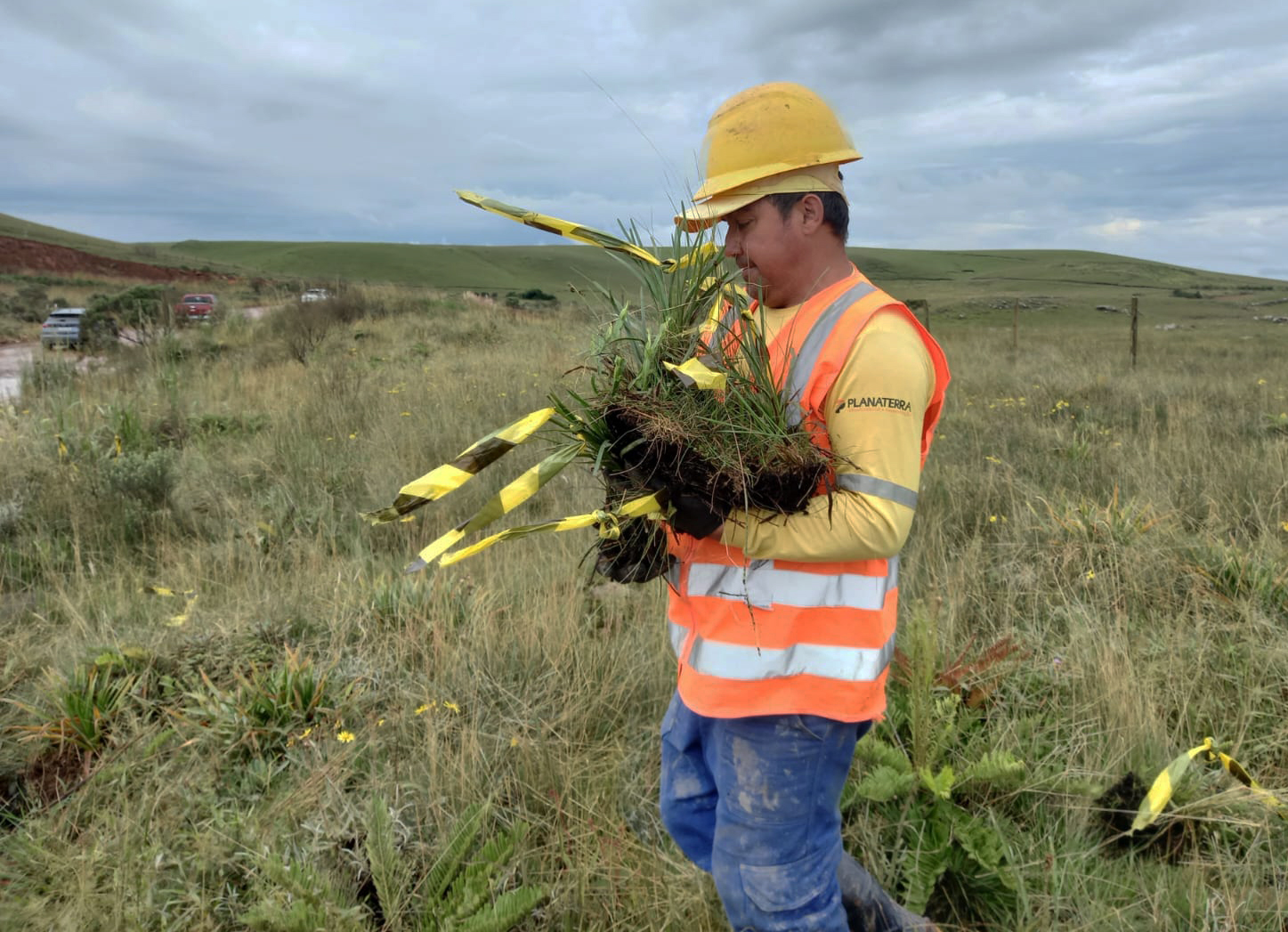 Dia de Proteção às Florestas destaca cuidados ambientais nas obras