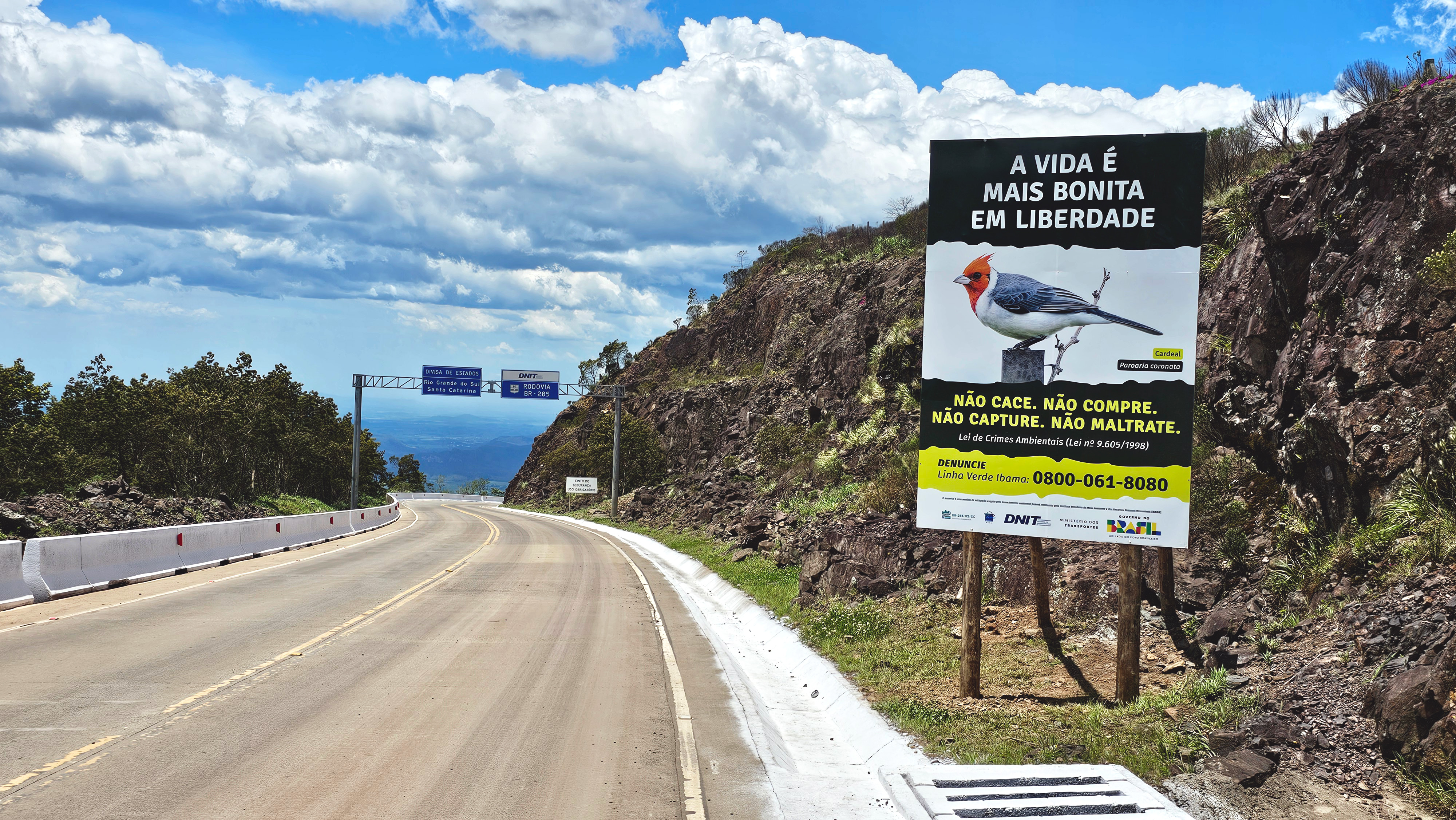 Campanha alerta para os impactos da caça e do tráfico de animais silvestres 