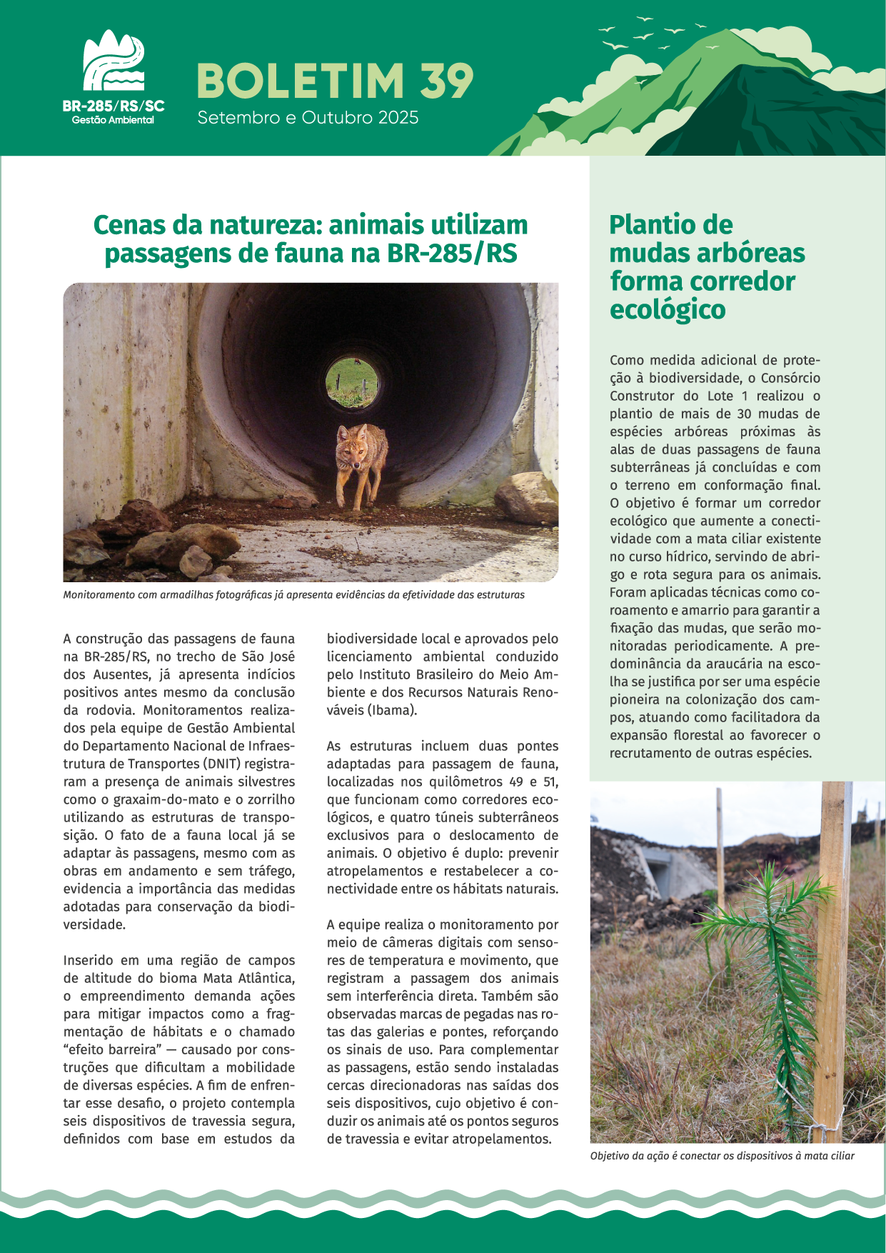 Boletim 39