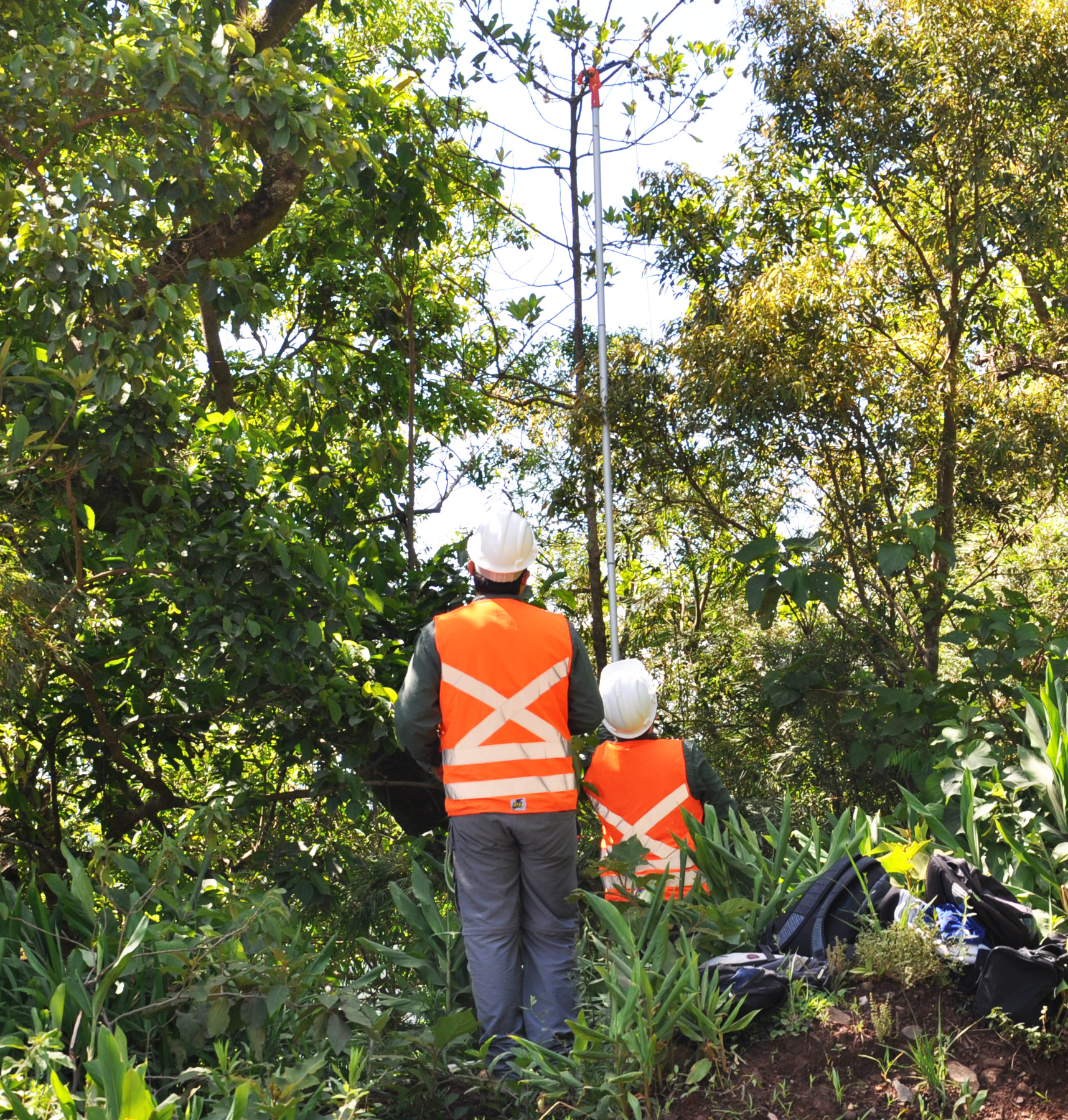 Início das obras na BR-285/RS/SC foca nos cuidados com a fauna e a flora