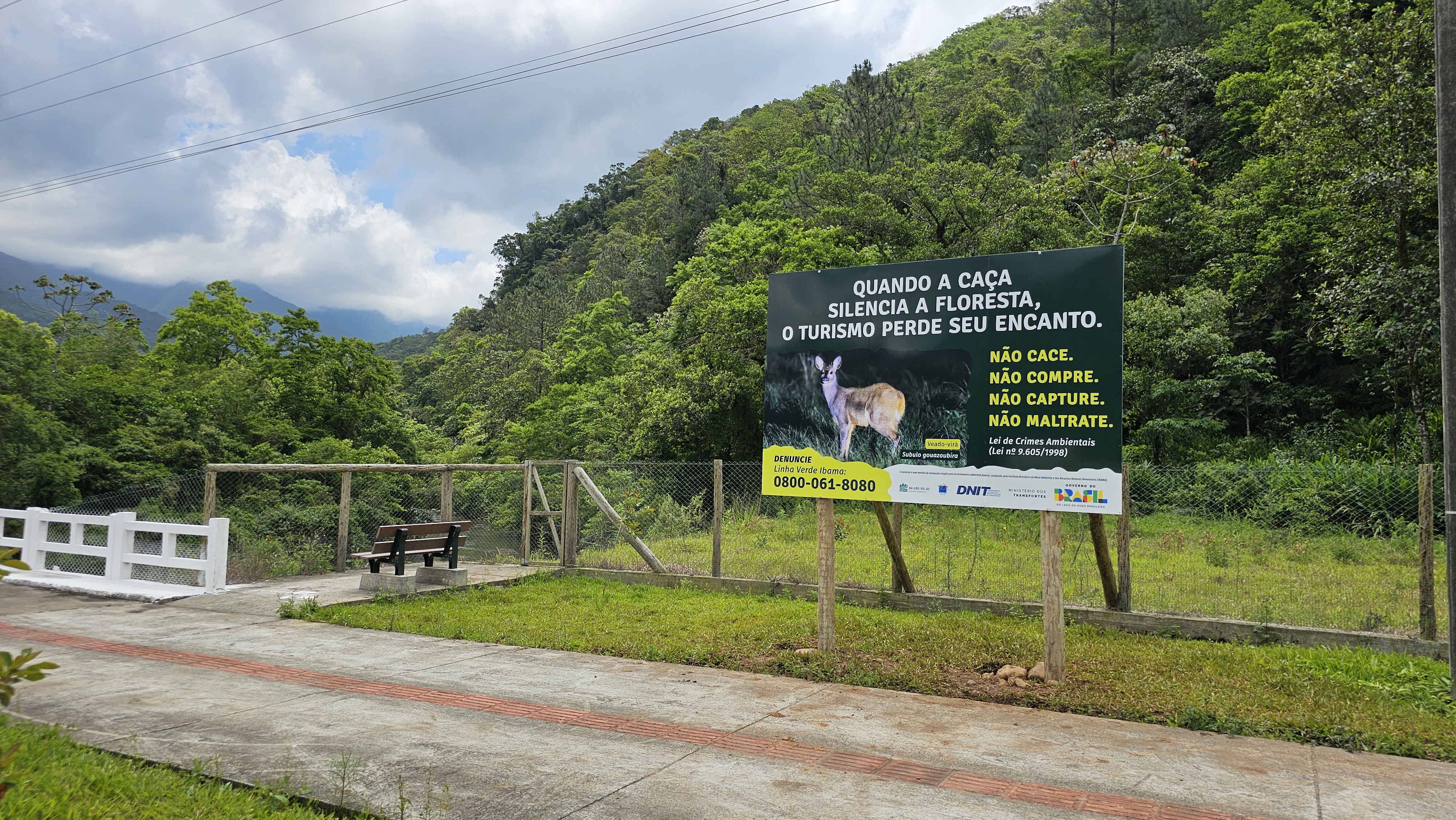 Campanha alerta para os impactos da caça e do tráfico de animais silvestres 