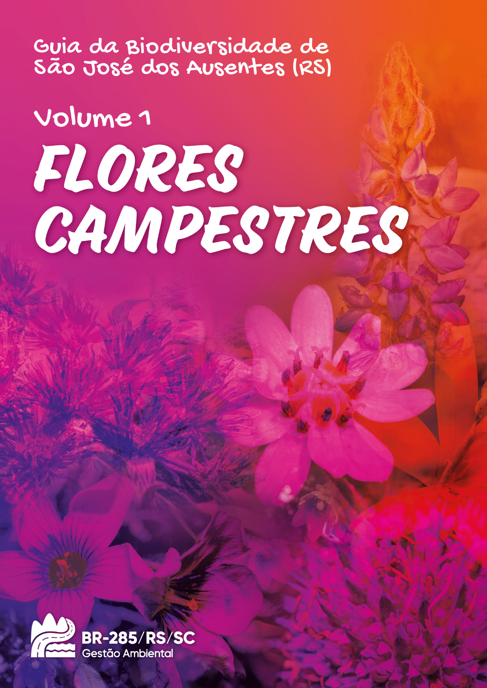 Guia da Biodiversidade de São José dos Ausentes (RS) - Flores Campestres